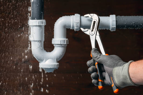 Professional Plumbing technician working in Rueter, MO